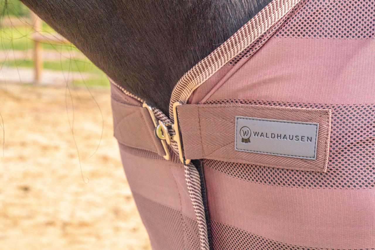Waldhausen Fliegendecke Economic