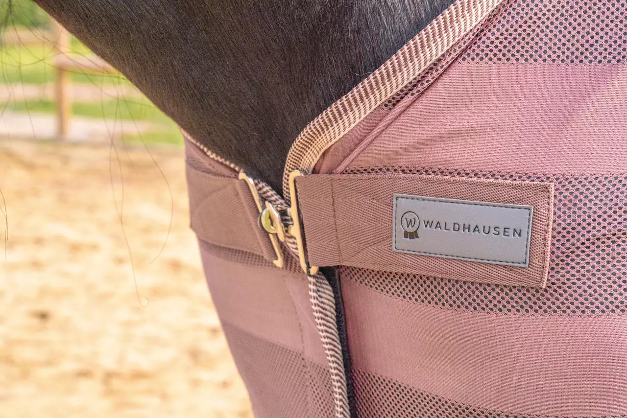 Waldhausen Fliegendecke Economic