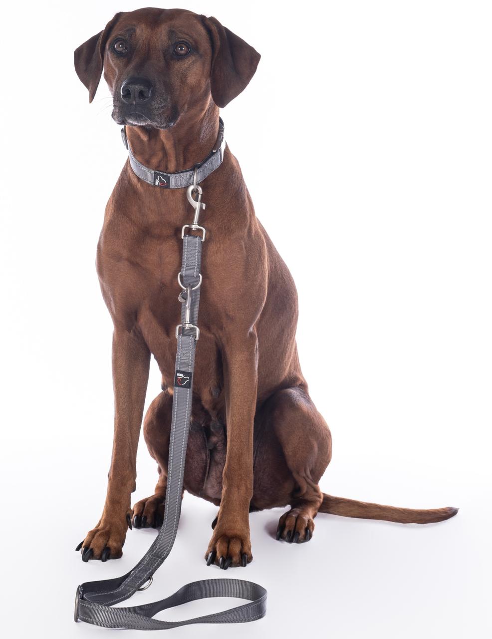 HKM Hundetrainingsleine - Anam Cara- Nylon