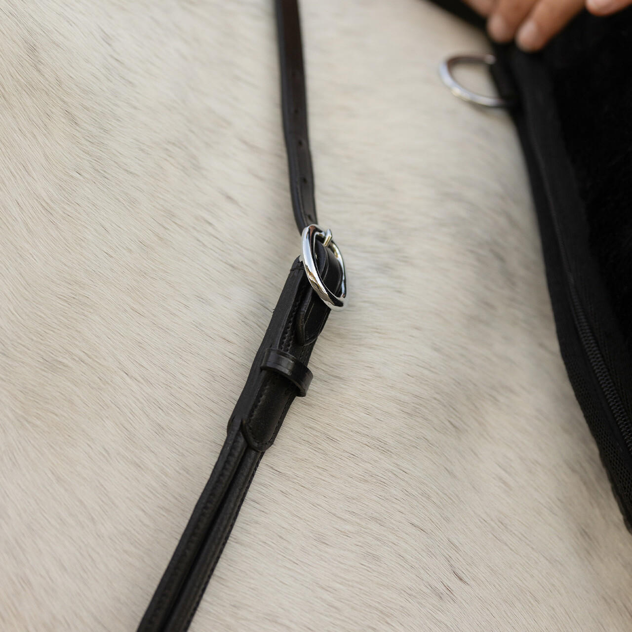 QHP Leder Halsring Liberta