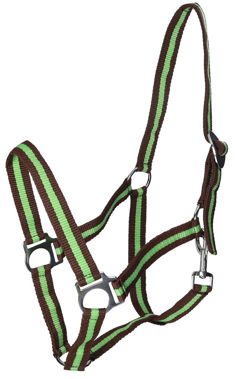 WAHL-Hausmarke HoldMe Halfter