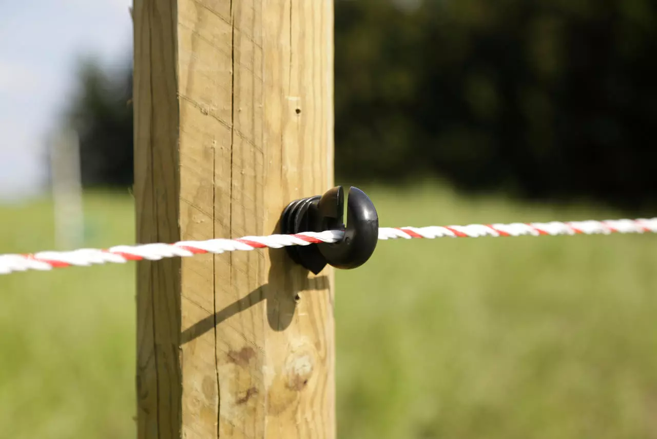 WAHL-FENCE Easy Drill Ringisolator EDX - 100 in Box