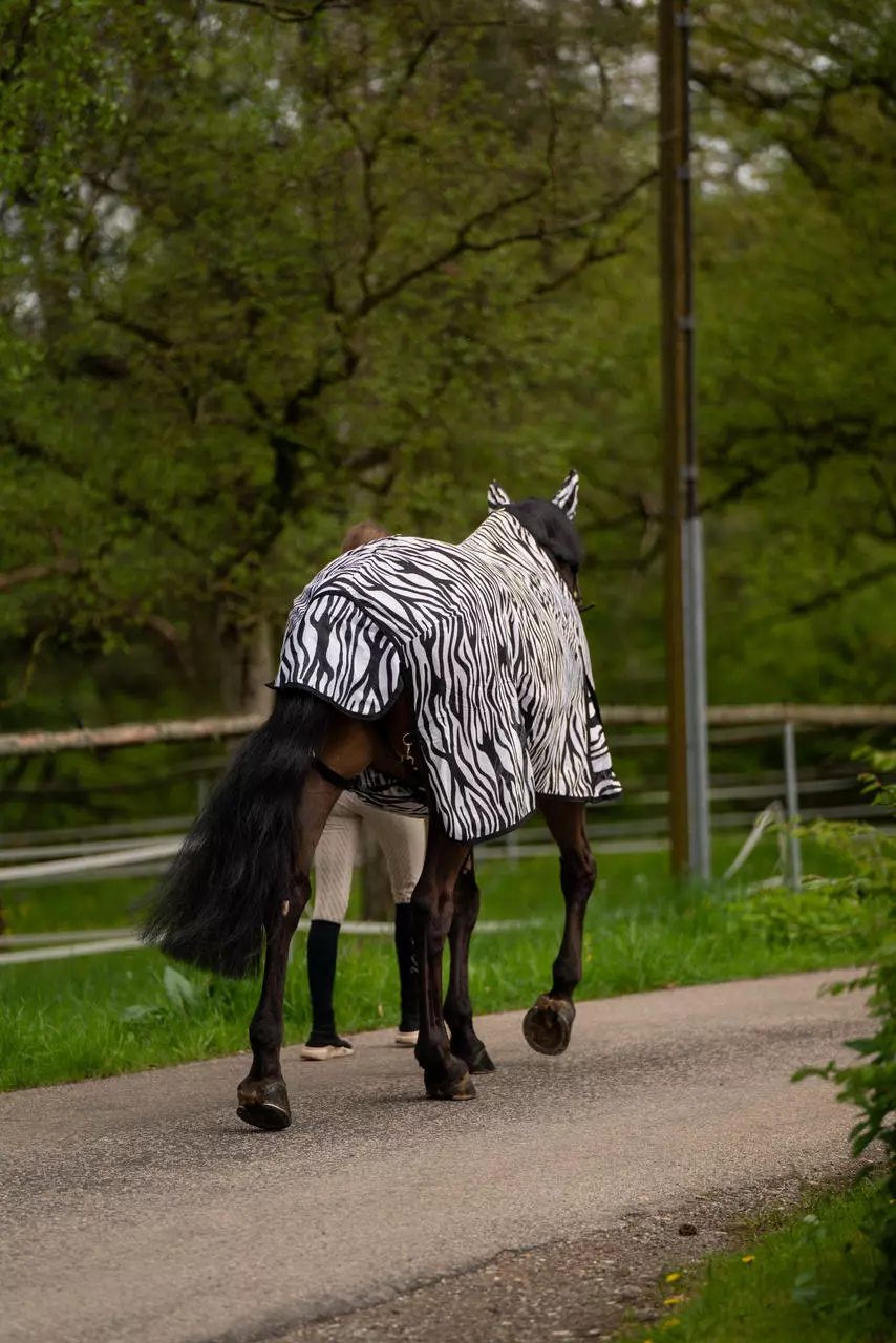 Waldhausen Fliegendecke Zebra