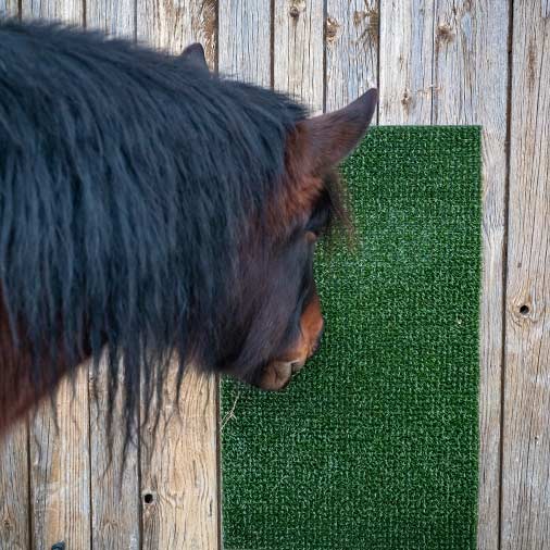 Hof_Stall_Sonstiges_neu