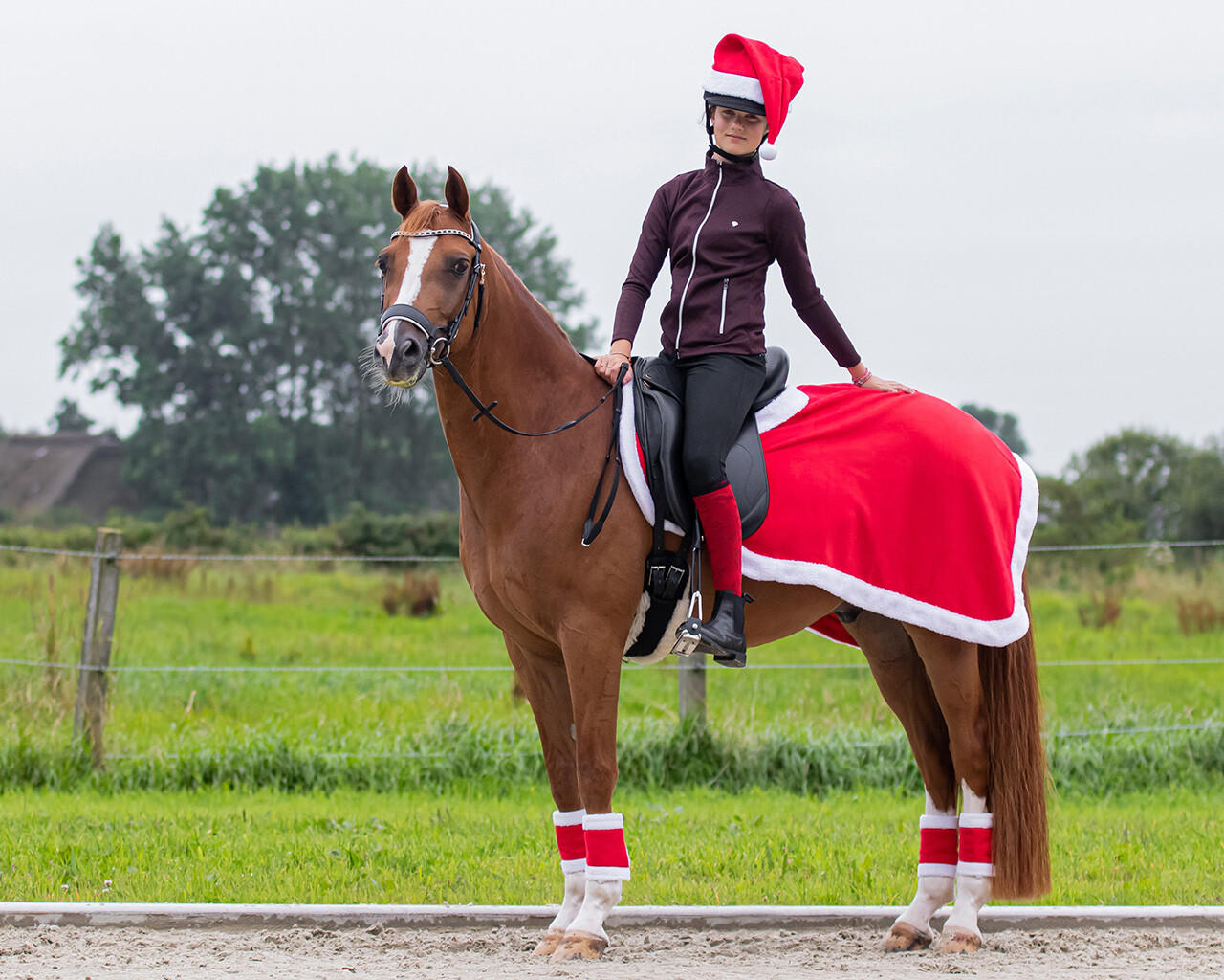 QHP Copricasco natalizio per casco da equitazione