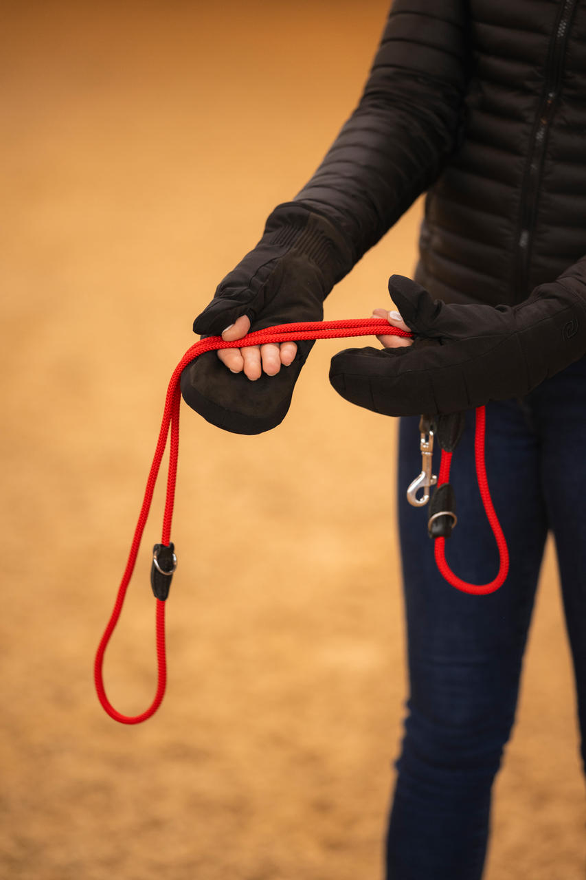 Roeckl Guanti da equitazione invernali Nagoya