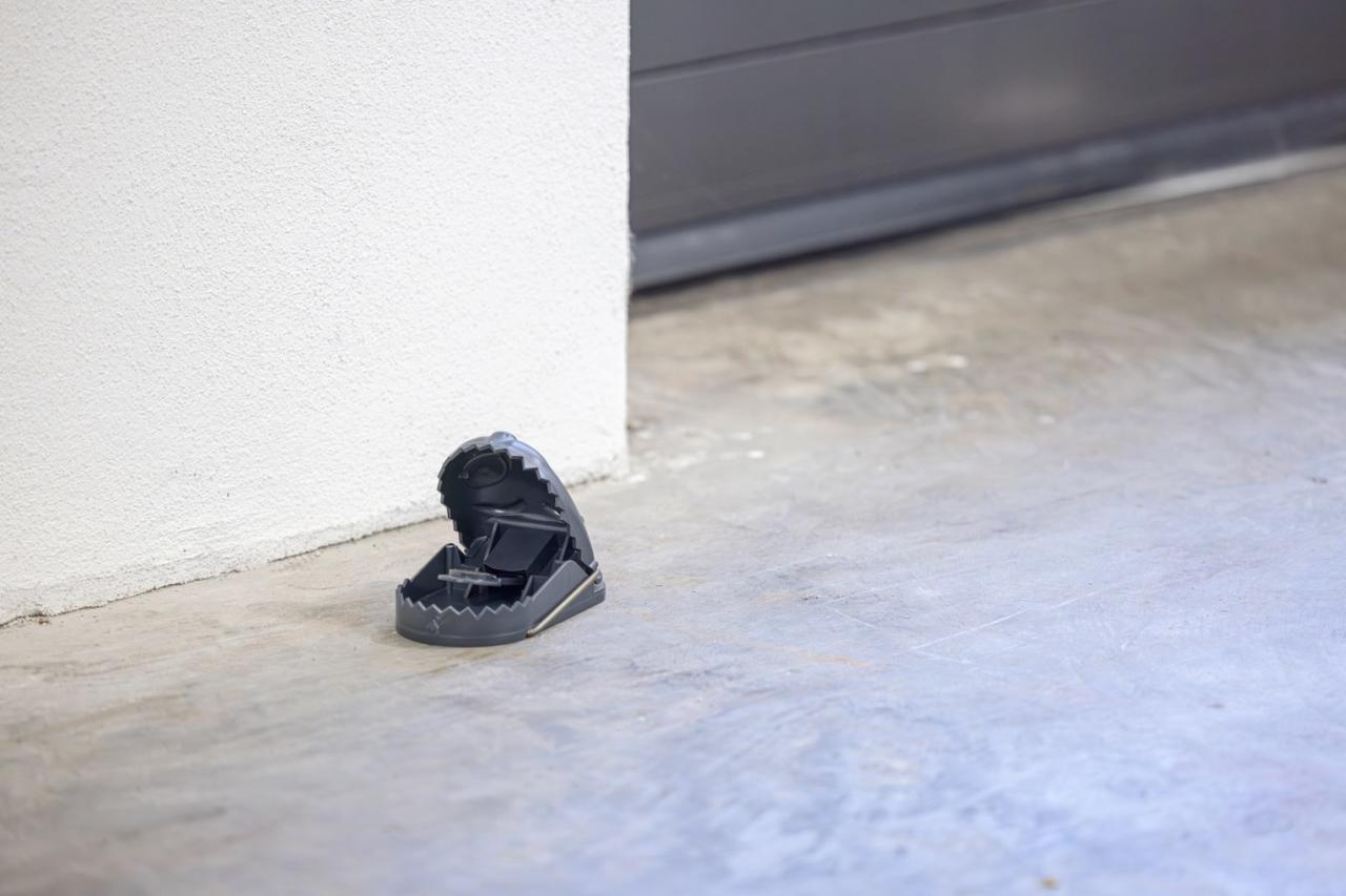 cit Rattenfalle ratStop
