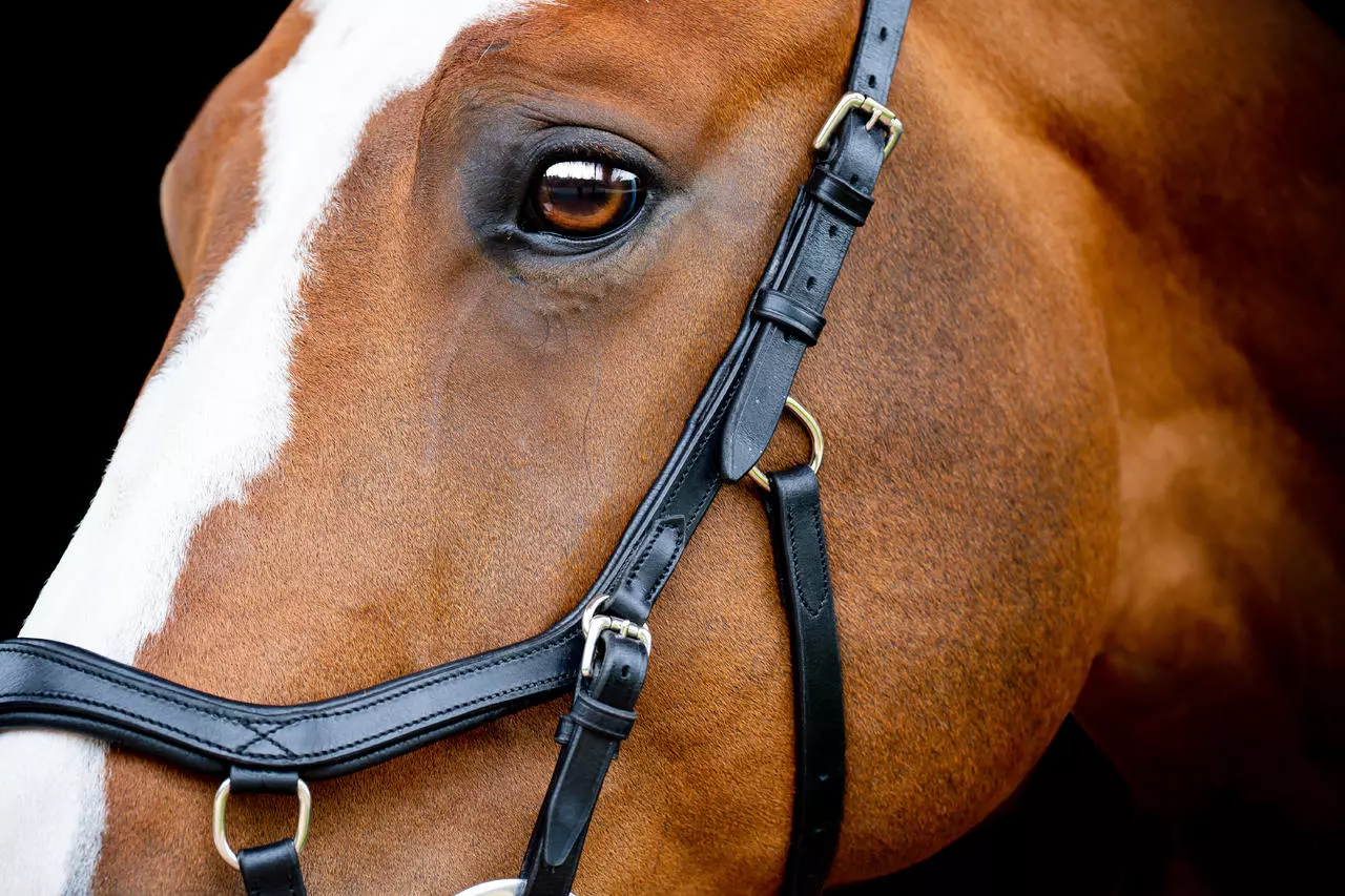 Horseware Micklem 2 Competition Bridle Horseware Micklem 2 Competition Bridle