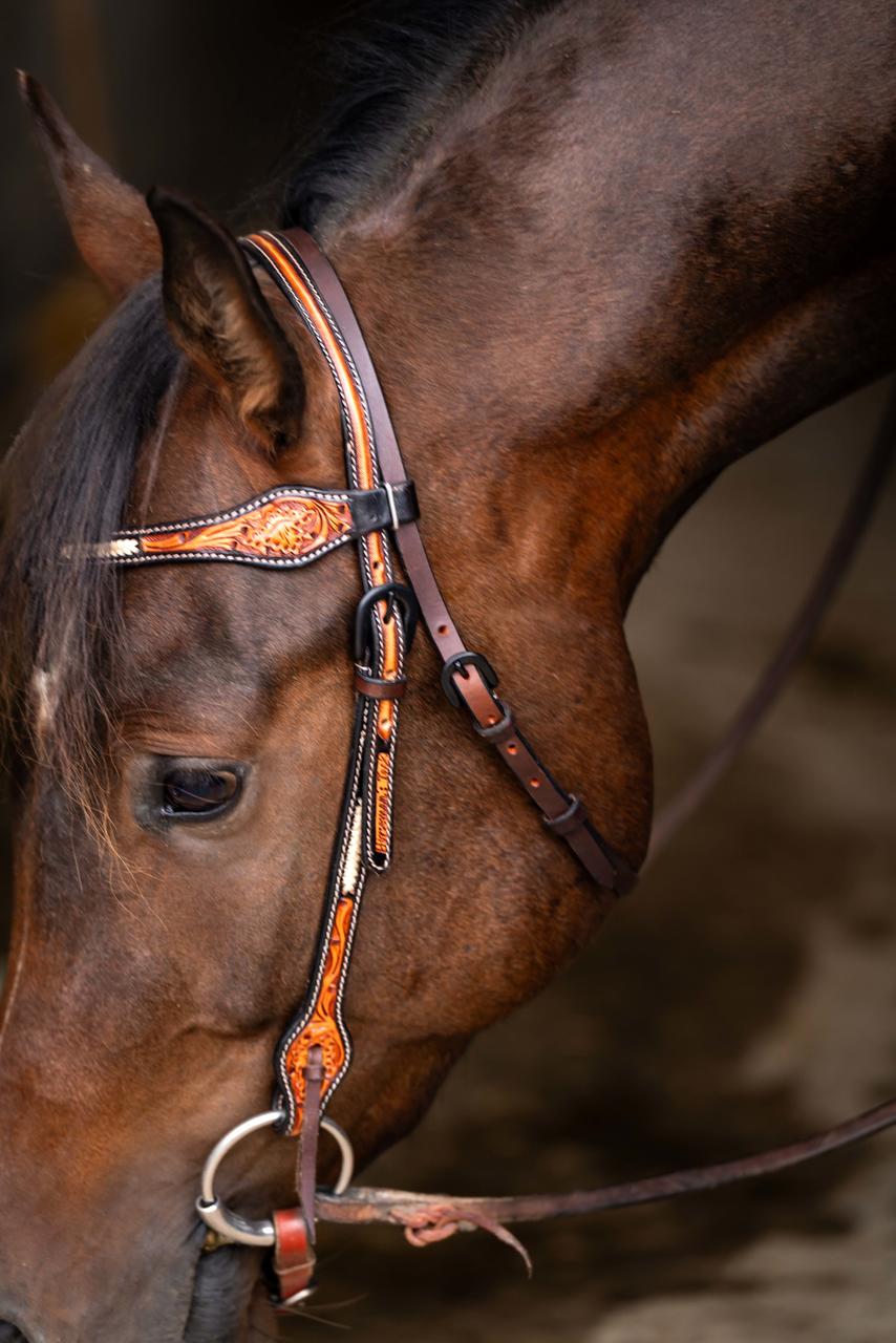 Western Imports Westerntrenszaum Horseman's Tack