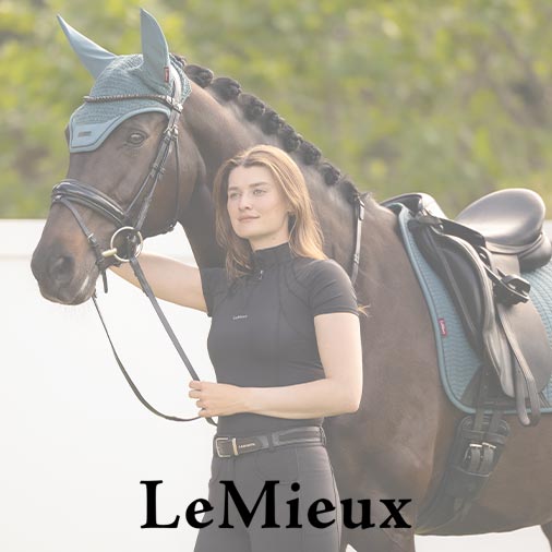 sommersale_lemieux