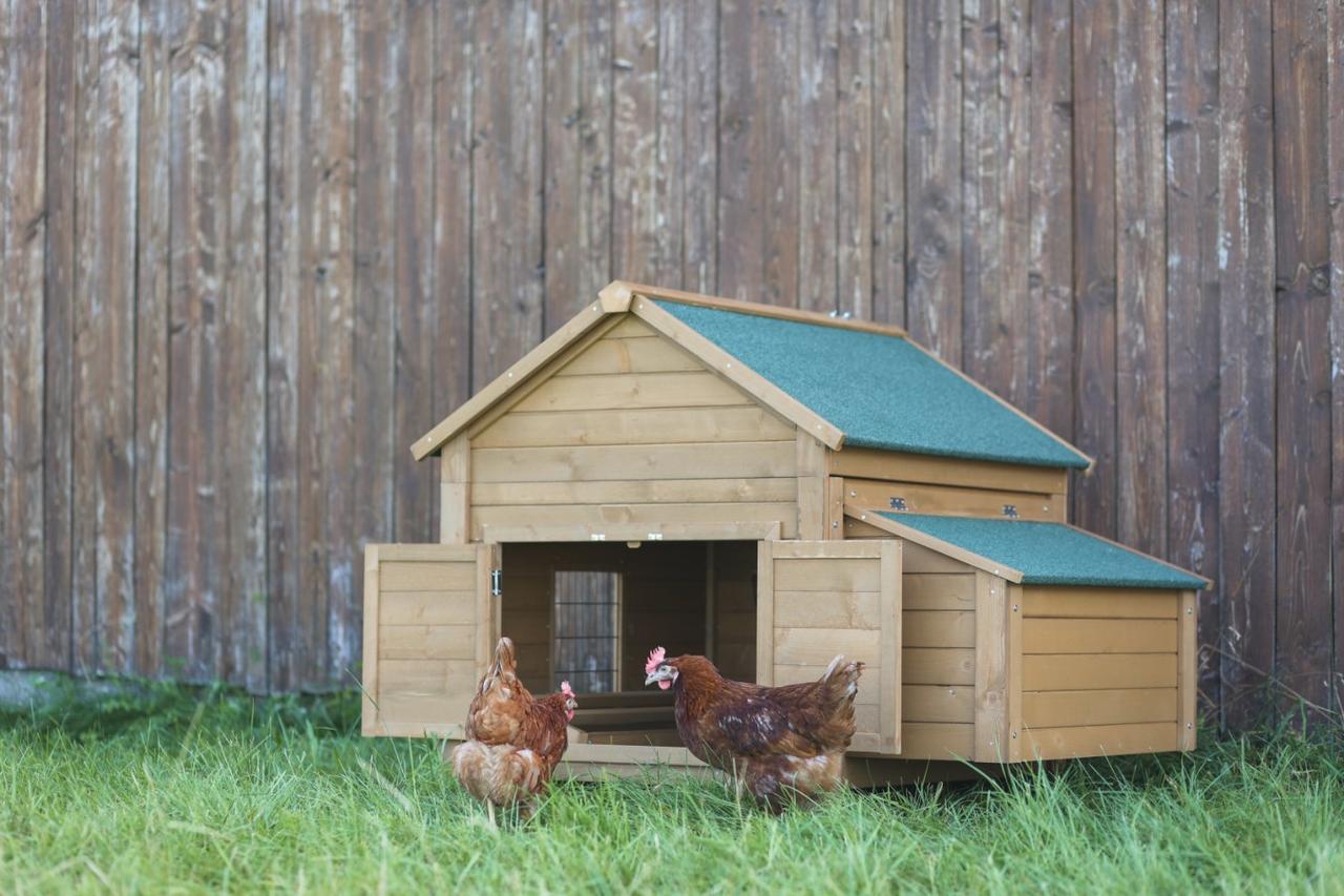 Kerbl Kleintierstall für Kaninchen o. Geflügel