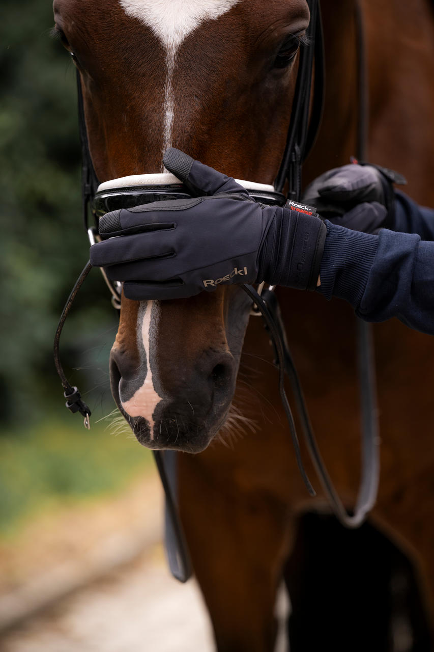 Roeckl Guanto da equitazione invernale Winsford