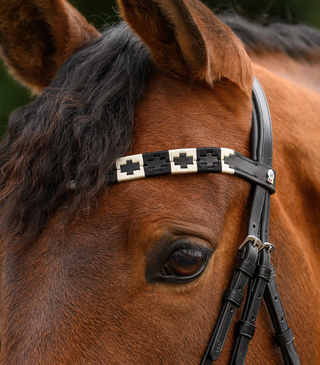 Waldhausen Frontalino X-Line Polo, nero