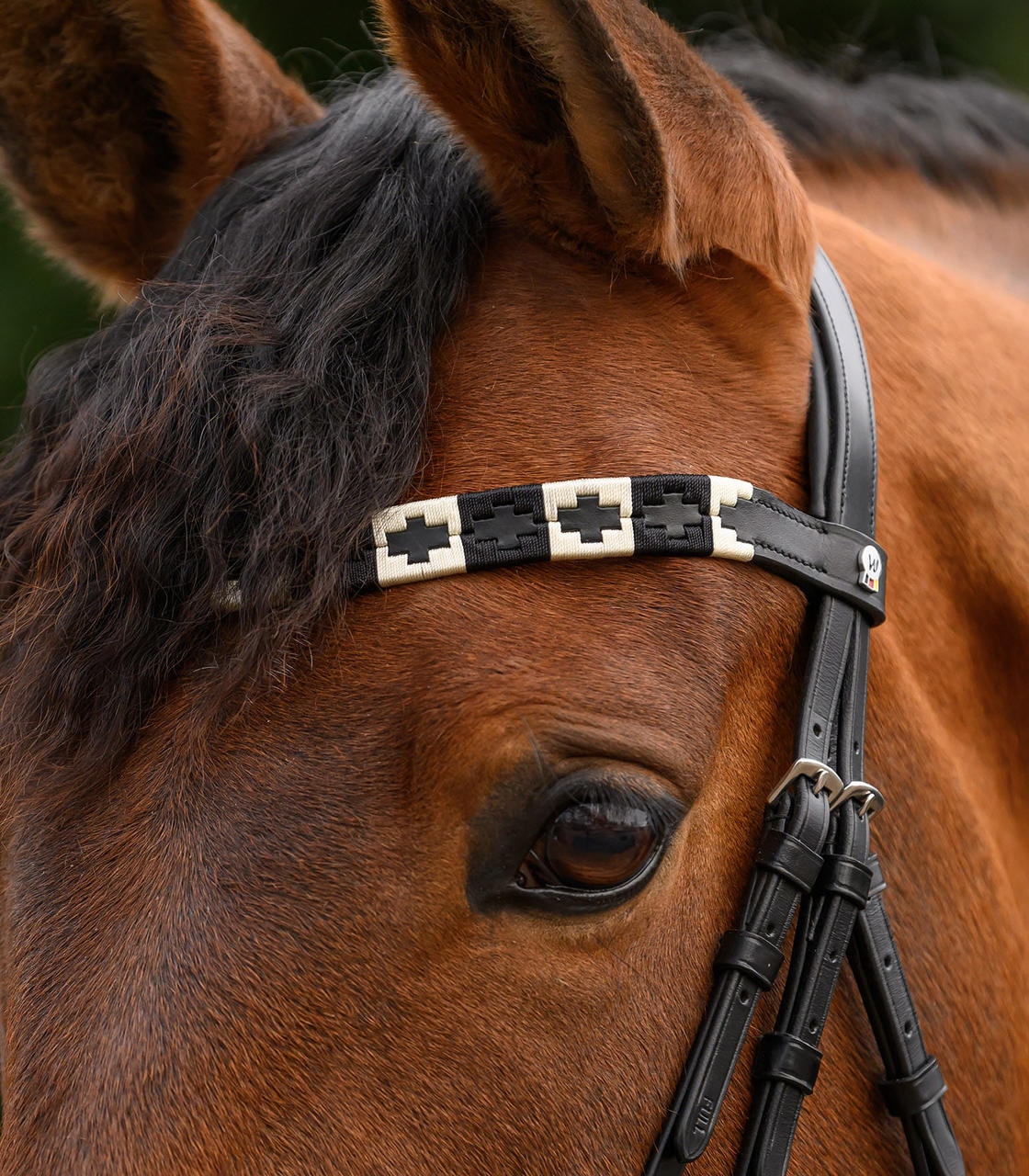 Waldhausen Frontalino X-Line Polo, nero