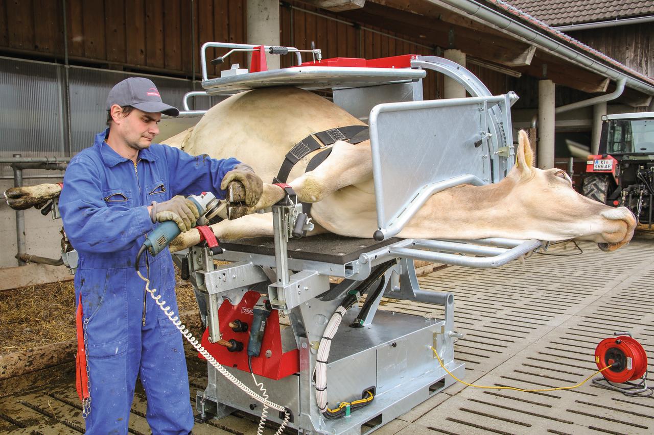 Rosensteiner Klauenpflegestand - KIPP TOP II Comfort