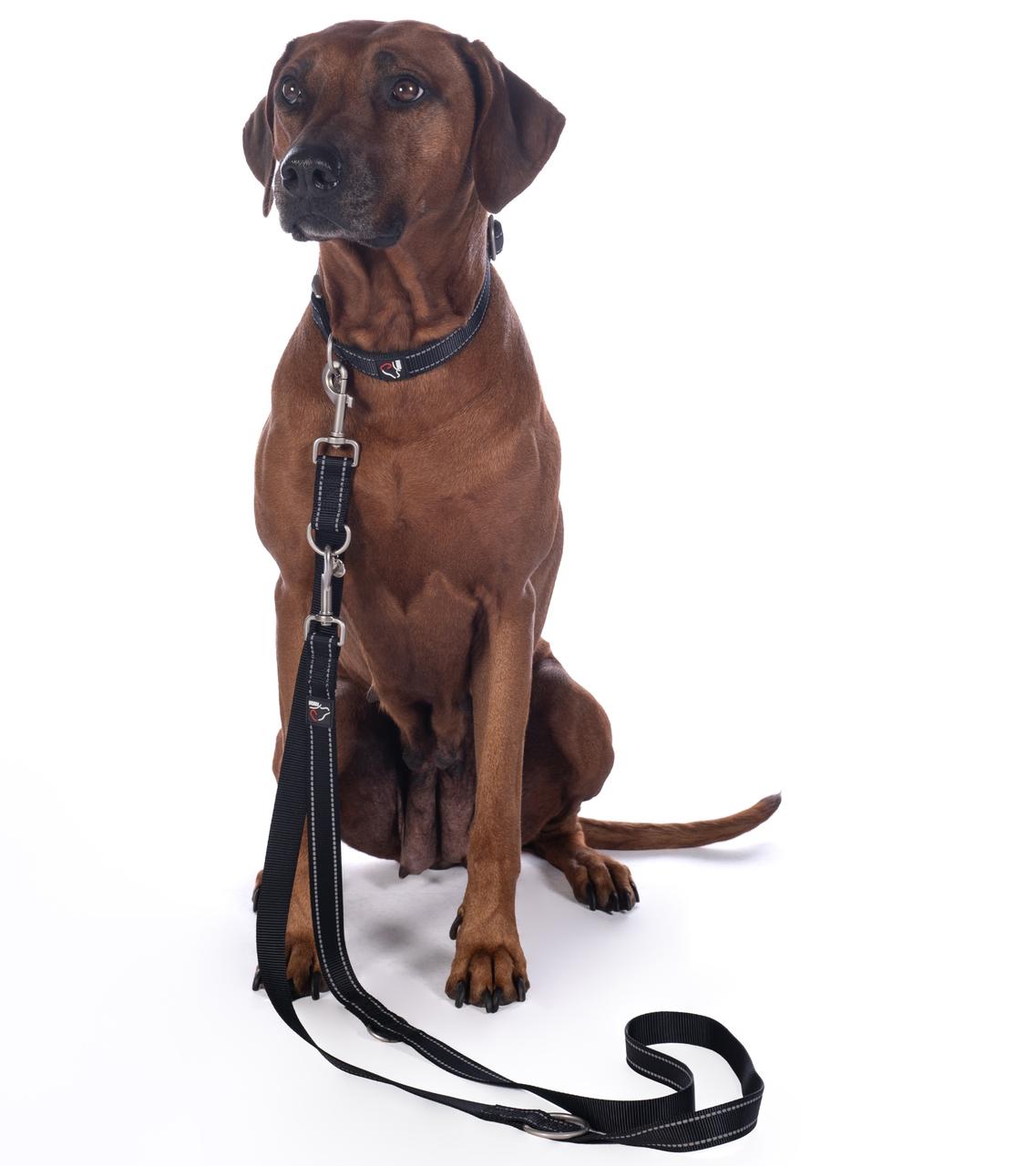 HKM Guinzaglio da addestramento per cani - Anam Cara - Nylon