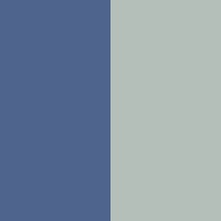 Navy/Titanium Grey & Silver