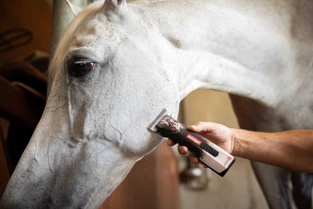 Heiniger Akku Schermaschine Opal Horse