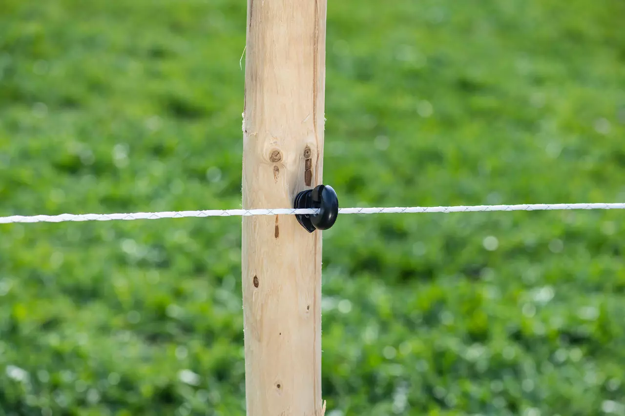 WAHL-FENCE Weidezaunseil - MAXI, weiß - 4 mm / 200m