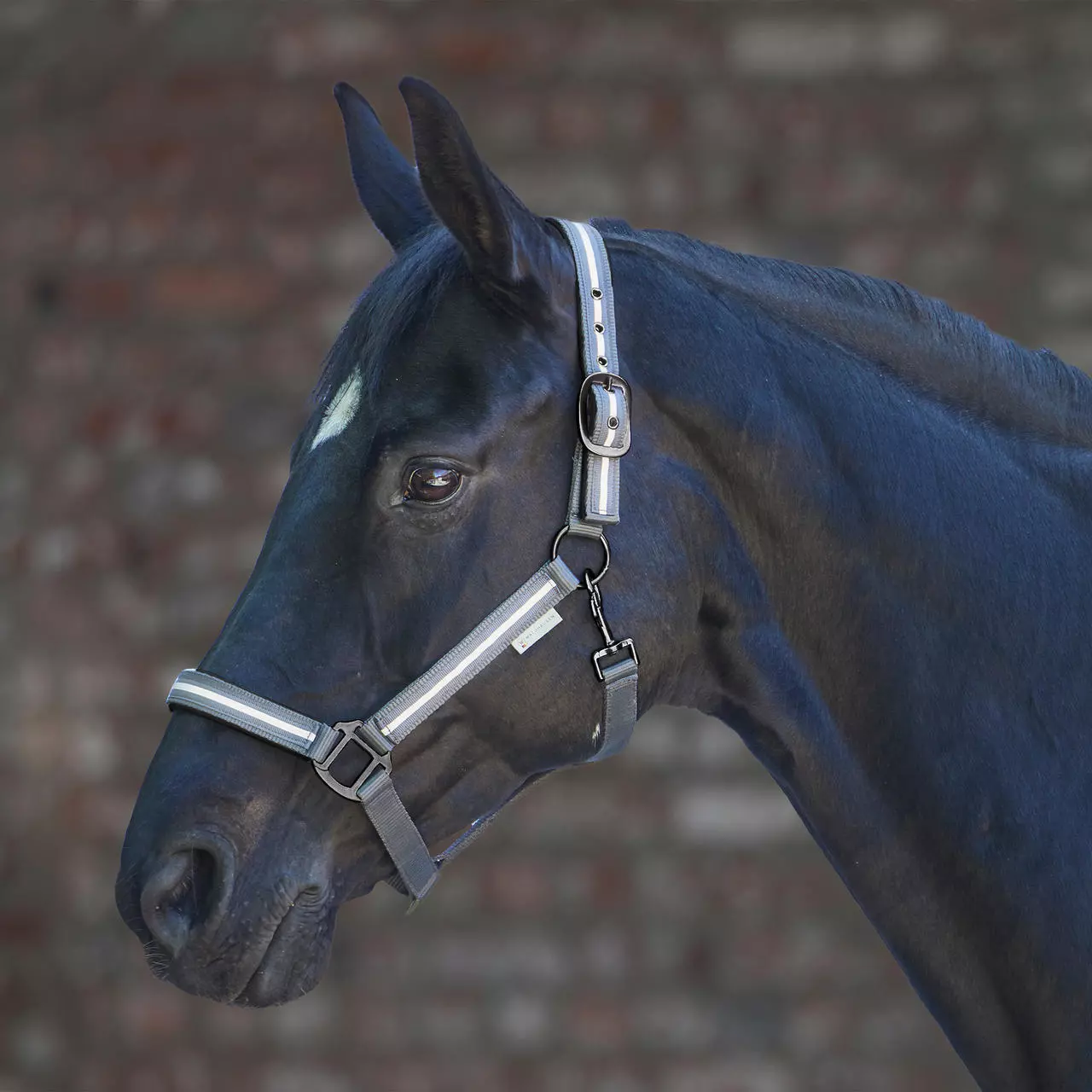 Waldhausen Reflex Halfter Stripe