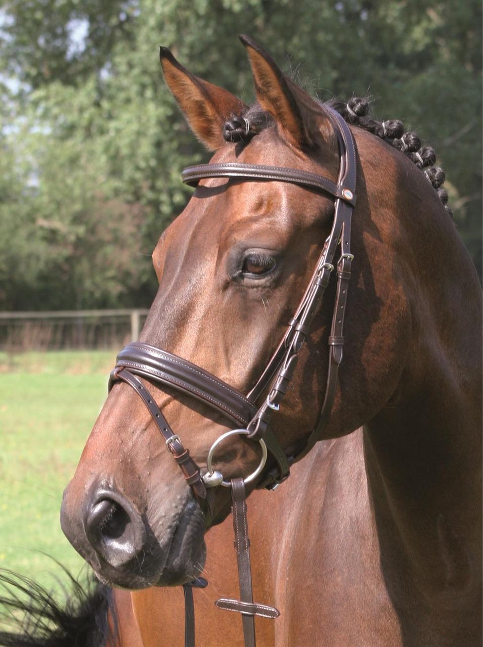 Hans Melzer Snaffle Bad Harzburg