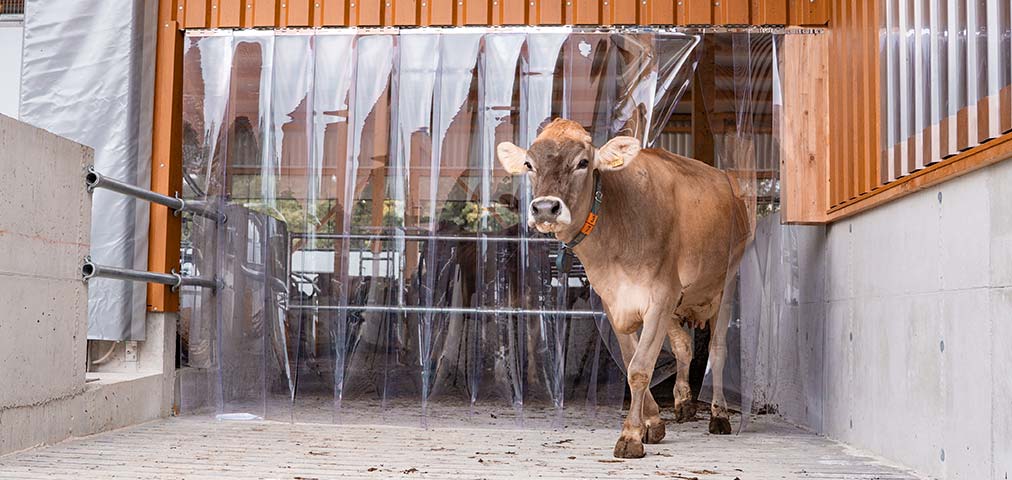 Startseite_Stallklima_mittel