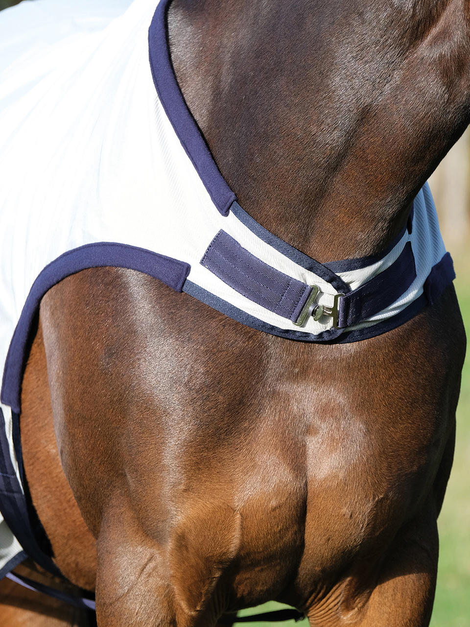 Busse Coperta da monta FLY COMFORT