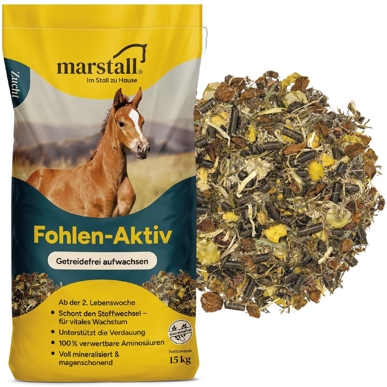 marstall Fohlen-Aktiv