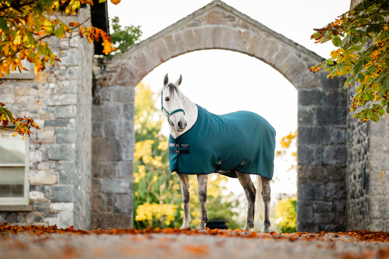Horseware Rambo Techni Waffle Cooler