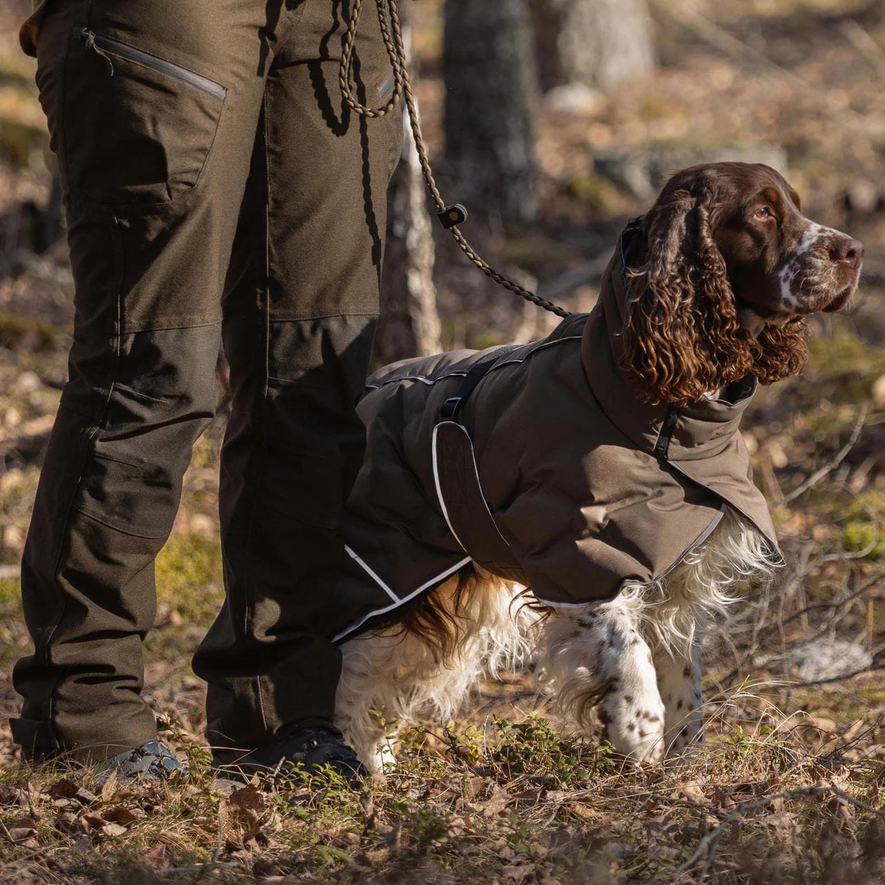 Back on Track BAY Wintermantel für Hunde, Lowtail