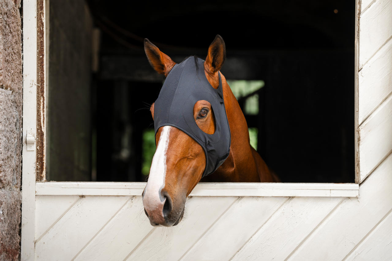 Horseware Ionic Calming Face Mask