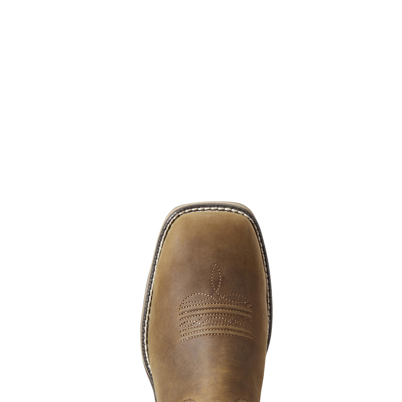 ARIAT Anthem H2O