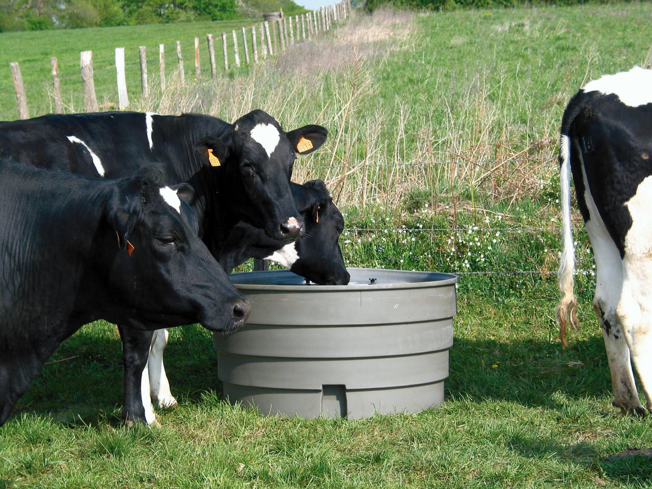 La Gée Weidetränke Superbac 1000 Liter
