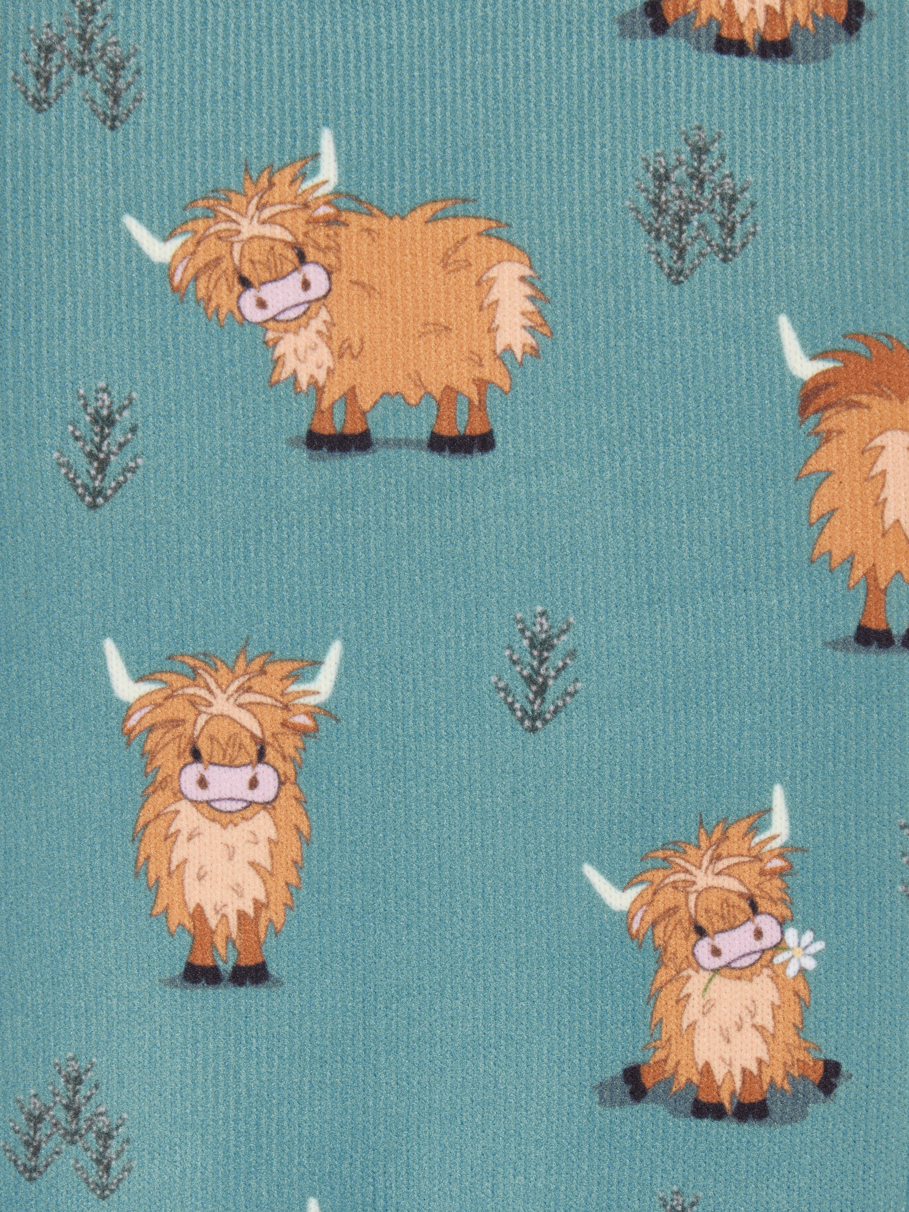 Highland Cow/Aloe