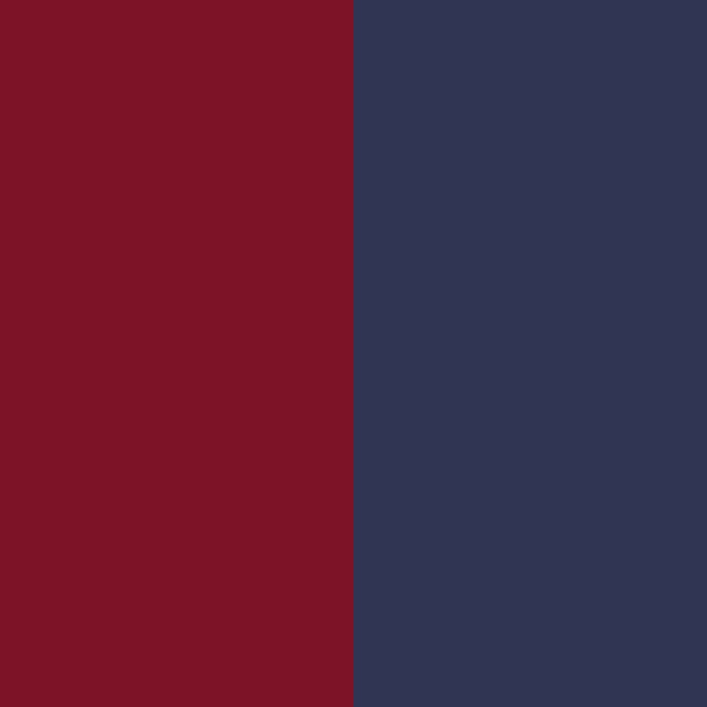burgundy/navy