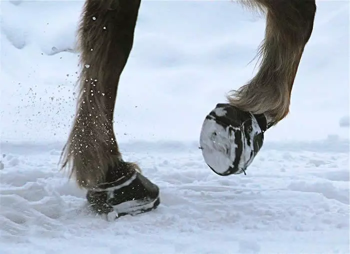 Cavallo Hufschuhe Simple Regular