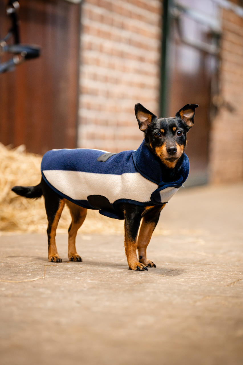 Horseware Pile per cani firmato
