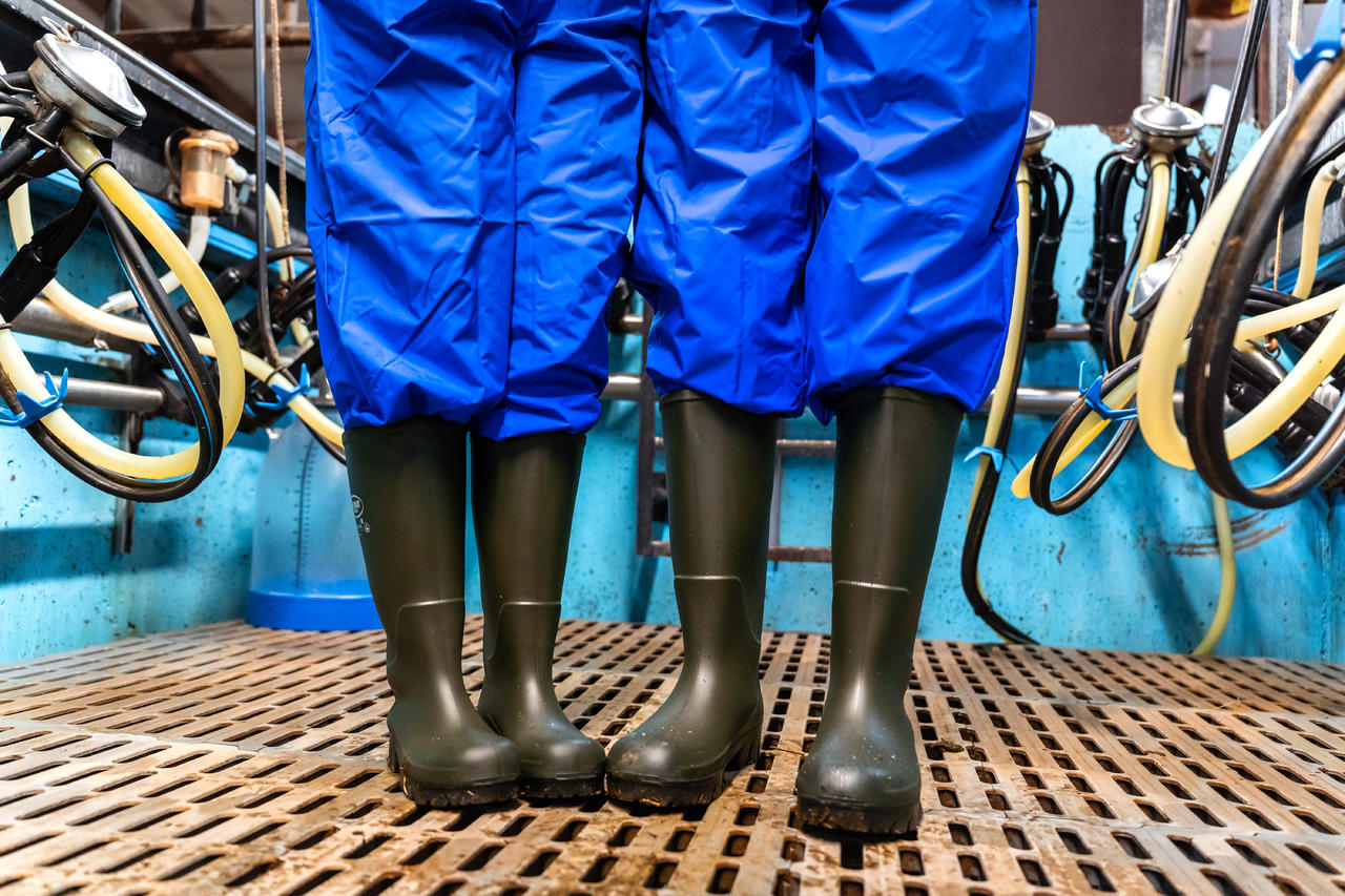 WAHL-Hausmarke MELKER-LATZHOSE wasserdicht, blau