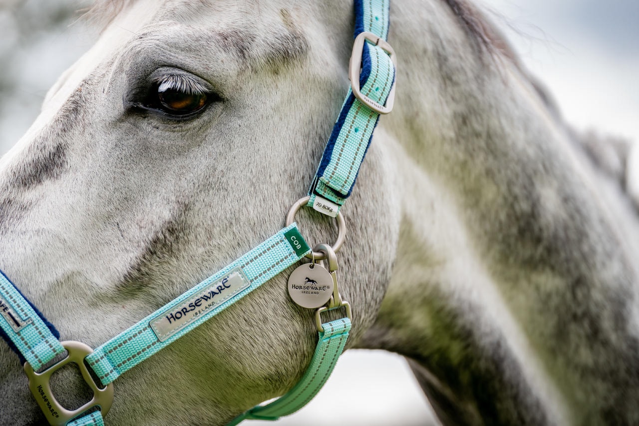 Horseware Collare di sicurezza sul campo