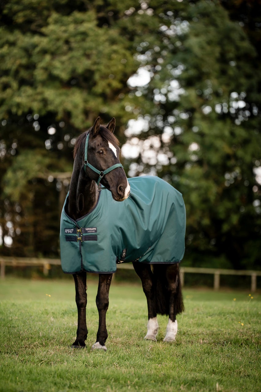 Horseware Amigo Ripstop 900D Turnout 100g