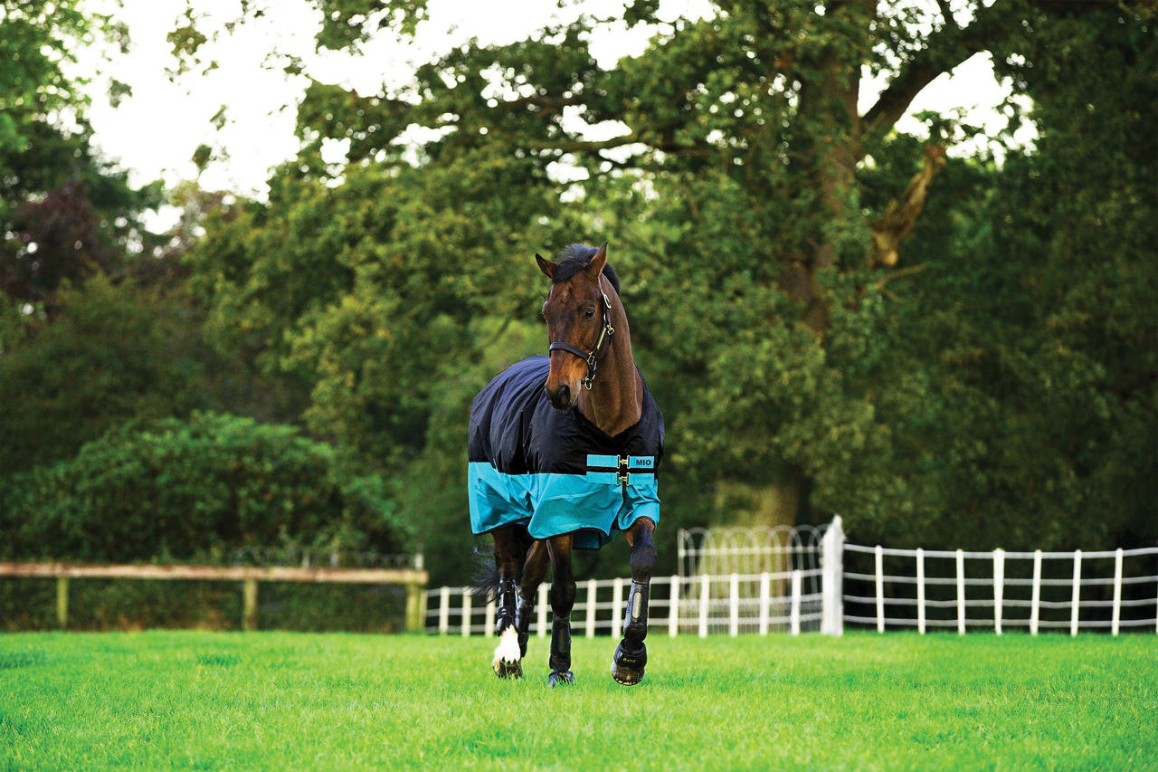 Horseware Coperta Mio Turnout Medio 200 g Horseware Coperta Mio Turnout Medio 200 g