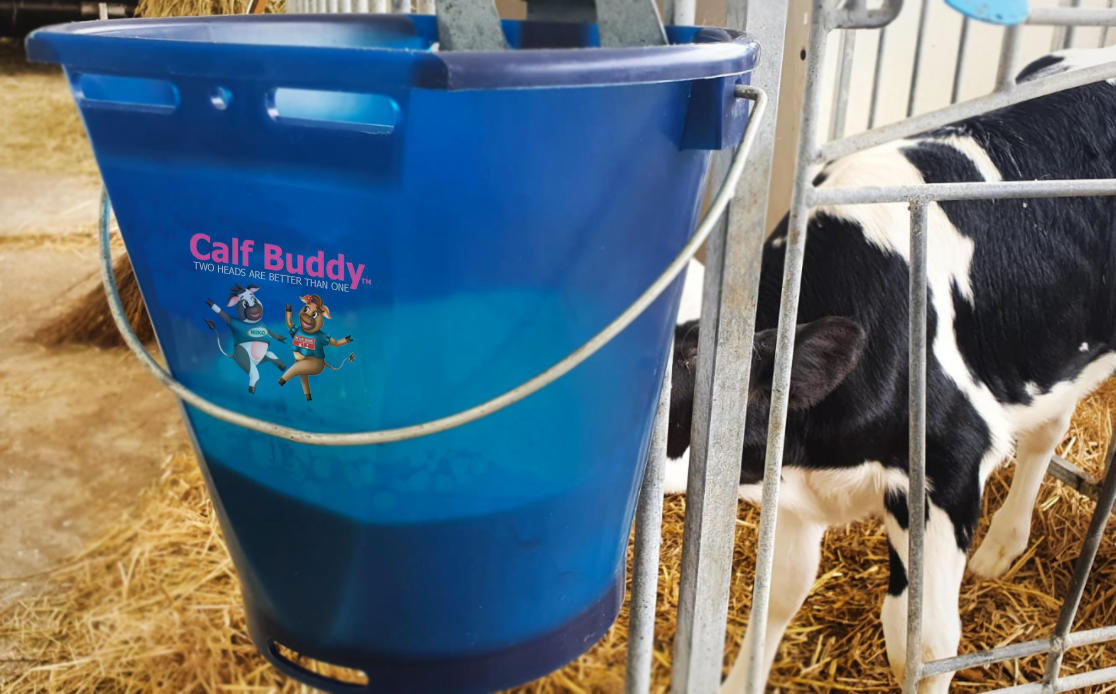 Hiko Calf Buddy-Kälbertränkeimer CB1 - 9l