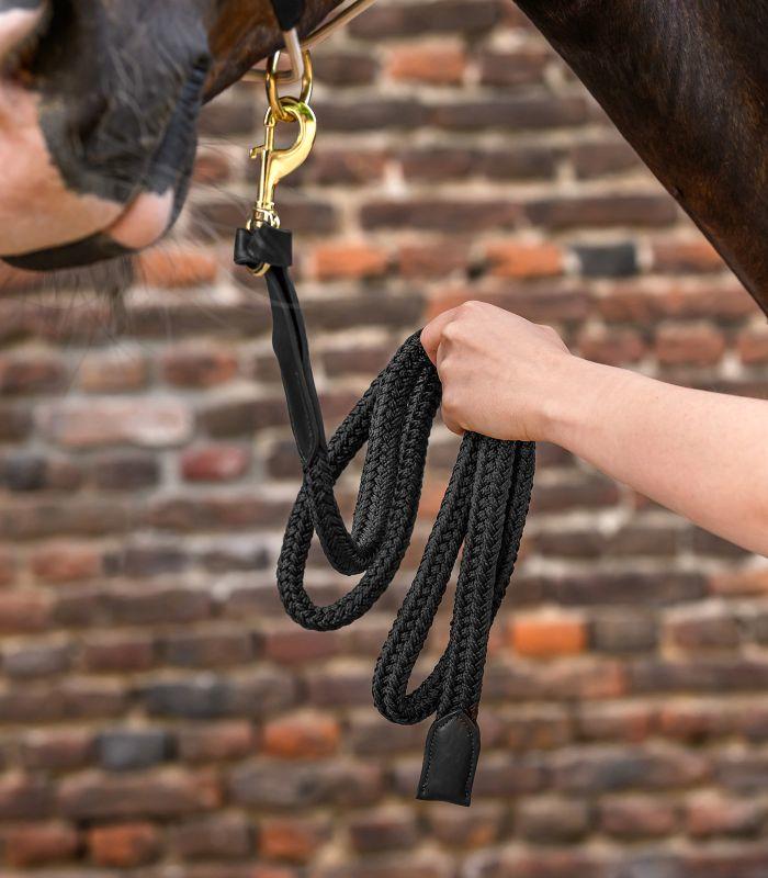 Waldhausen Longe de présentation Royal avec détails en cuir