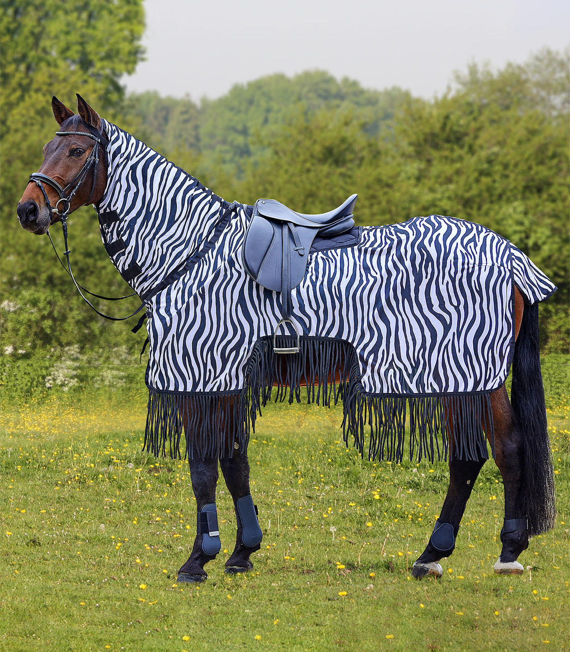 Waldhausen Couverture d'équitation anti-mouches Zebra avec franges Waldhausen Couverture d'équitation anti-mouches Zebra avec franges