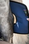 Horseware Ionic Hock Boots