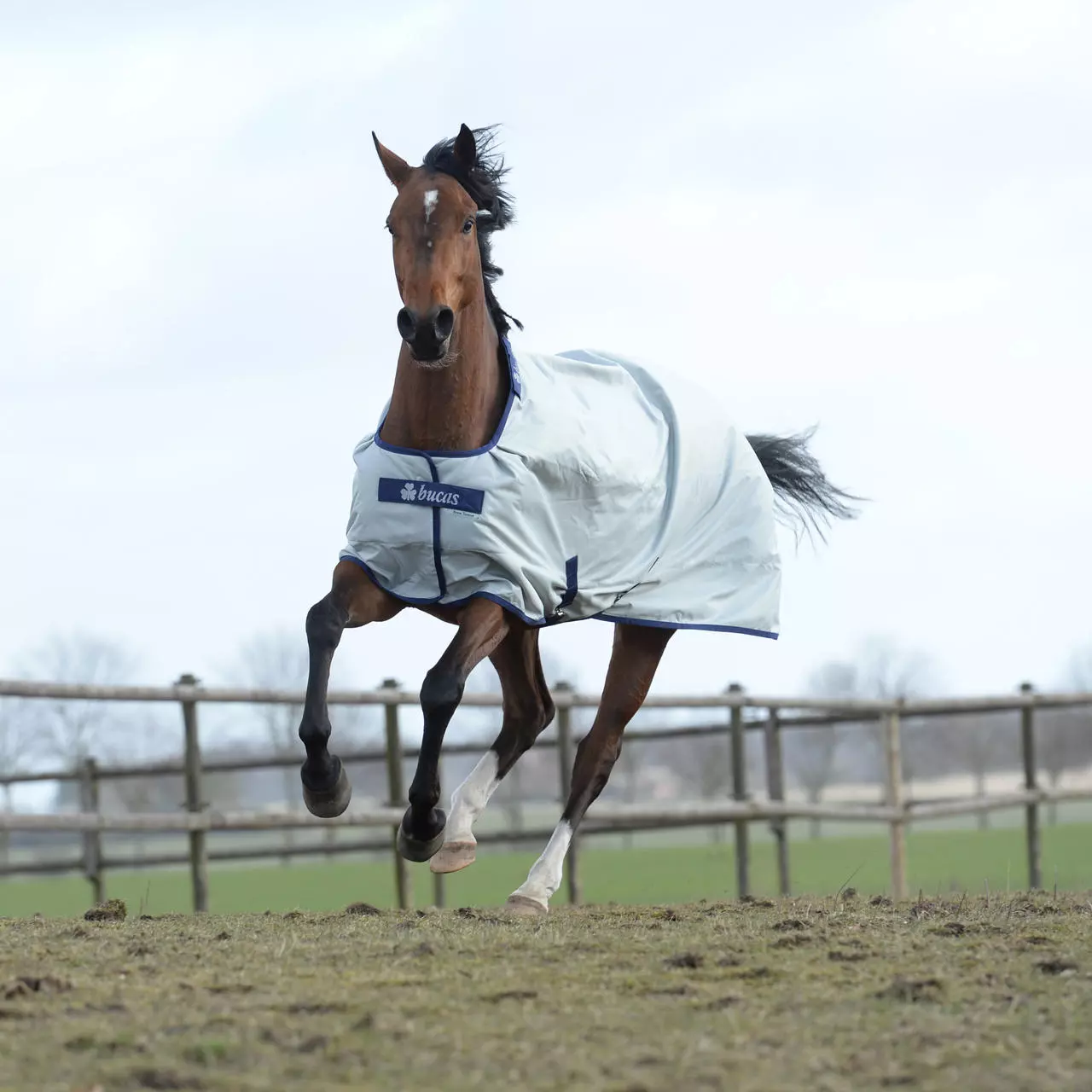 Bucas Power Turnout Light 0g