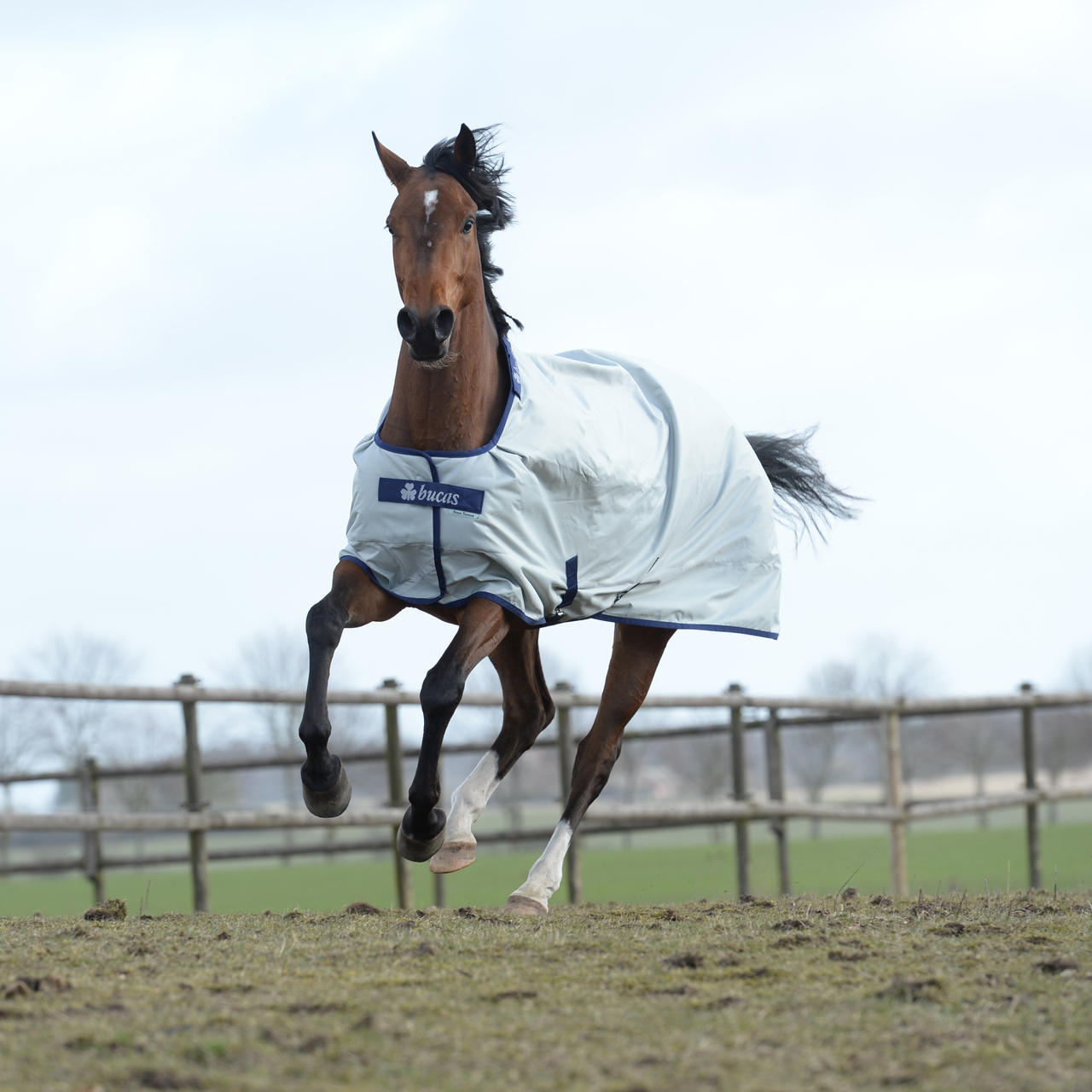 Bucas Power Turnout Light 0g Bucas Power Turnout Light 0g