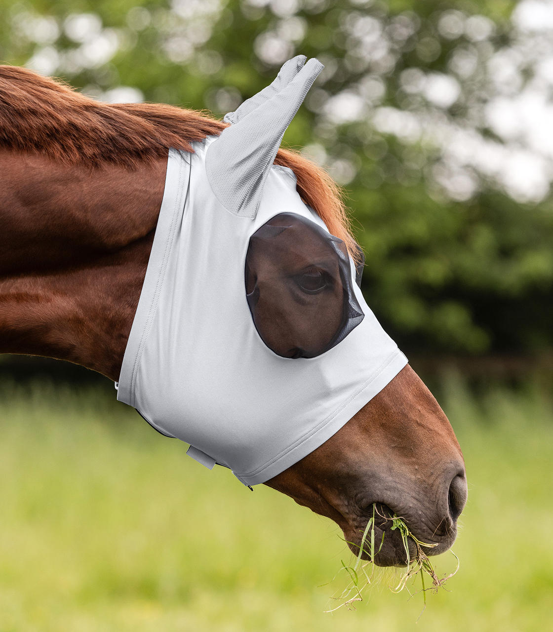 WAHL-Hausmarke Maschera antimosche Wahl-Hausmarke Puck