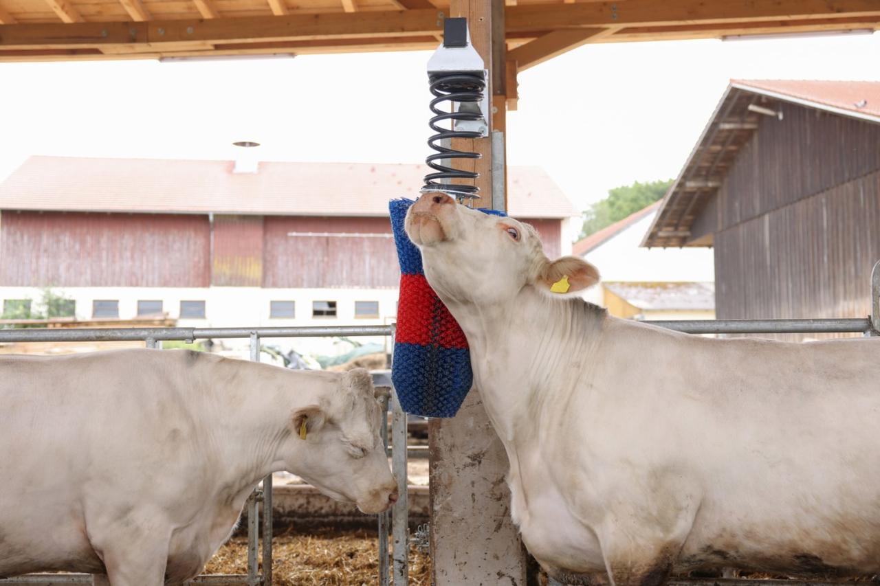 Kerbl Kratzbürste HAPPYCOW FlexiSwing