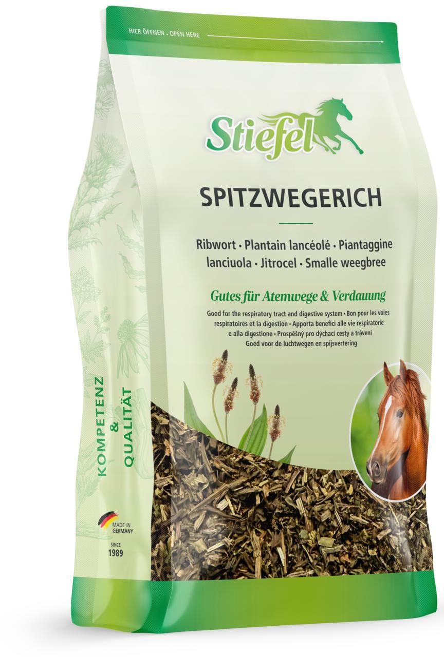 Stiefel Spitzwegerich 500 g